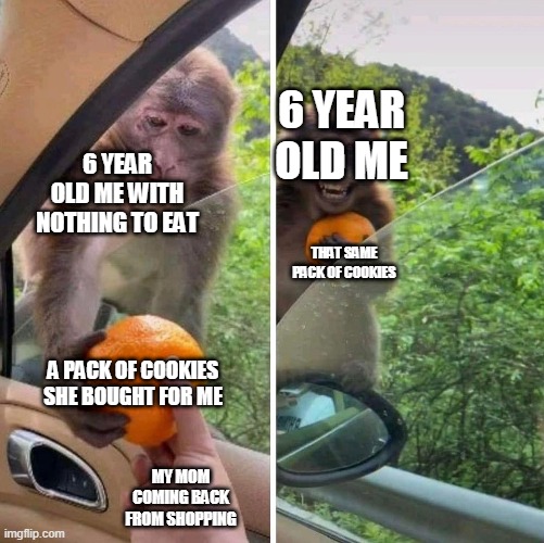 monkey getting an orange | 6 YEAR OLD ME; 6 YEAR OLD ME WITH NOTHING TO EAT; THAT SAME PACK OF COOKIES; A PACK OF COOKIES SHE BOUGHT FOR ME; MY MOM COMING BACK FROM SHOPPING | image tagged in monkey getting an orange | made w/ Imgflip meme maker