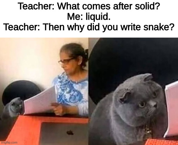 Cat Interview | Teacher: What comes after solid?
Me: liquid.
Teacher: Then why did you write snake? | image tagged in cat interview | made w/ Imgflip meme maker