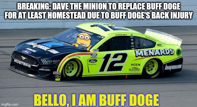 Minions are now attracted to this series. | BREAKING: DAVE THE MINION TO REPLACE BUFF DOGE FOR AT LEAST HOMESTEAD DUE TO BUFF DOGE'S BACK INJURY; BELLO, I AM BUFF DOGE | image tagged in memes,nmcs,nascar,minions,dave,bello | made w/ Imgflip meme maker