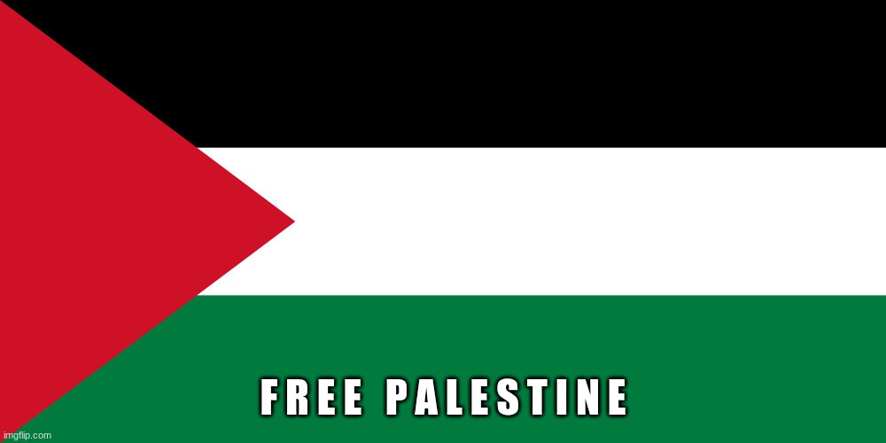 I disabled the comments because I don't wanna start an argument- | F R E E   P A L E S T I N E | image tagged in palestine | made w/ Imgflip meme maker
