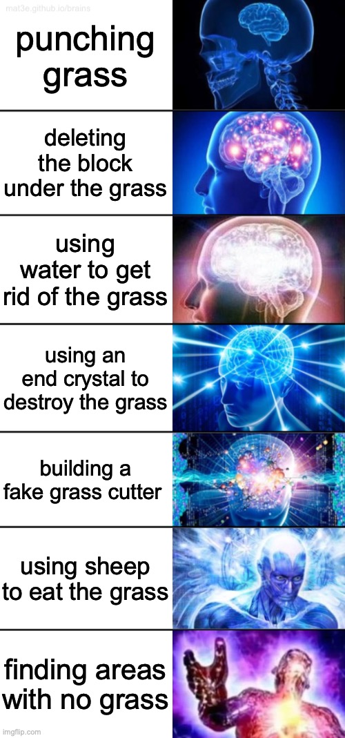 7-Tier Expanding Brain | punching grass; deleting the block under the grass; using water to get rid of the grass; using an end crystal to destroy the grass; building a fake grass cutter; using sheep to eat the grass; finding areas with no grass | image tagged in 7-tier expanding brain | made w/ Imgflip meme maker