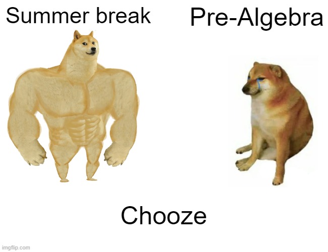 Summer Break | Summer break; Pre-Algebra; Chooze | image tagged in memes,buff doge vs cheems | made w/ Imgflip meme maker
