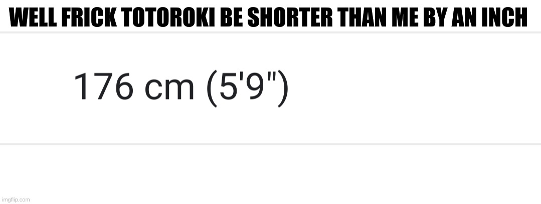 WELL FRICK TOTOROKI BE SHORTER THAN ME BY AN INCH | made w/ Imgflip meme maker