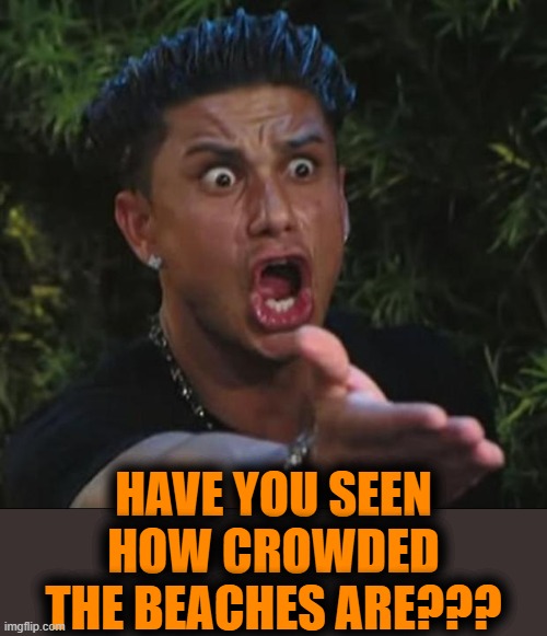 DJ Pauly D Meme | HAVE YOU SEEN HOW CROWDED THE BEACHES ARE??? | image tagged in memes,dj pauly d | made w/ Imgflip meme maker
