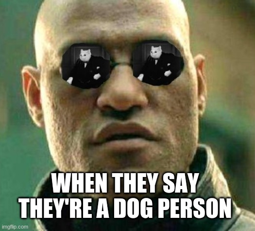 WHEN THEY SAY THEY'RE A DOG PERSON | image tagged in your mom | made w/ Imgflip meme maker