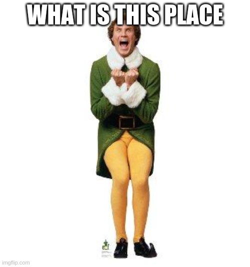 what | WHAT IS THIS PLACE | image tagged in buddy the elf | made w/ Imgflip meme maker