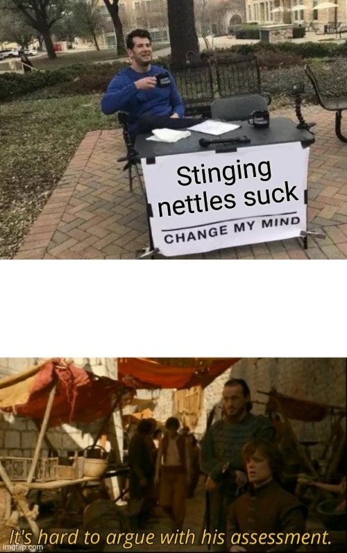 My 1000'th creation | Stinging nettles suck | image tagged in memes,change my mind,it's hard to argue with his assessment | made w/ Imgflip meme maker