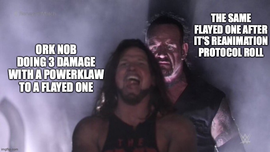 AJ Styles & Undertaker | THE SAME FLAYED ONE AFTER IT'S REANIMATION PROTOCOL ROLL; ORK NOB DOING 3 DAMAGE WITH A POWERKLAW TO A FLAYED ONE | image tagged in aj styles undertaker,Grimdank | made w/ Imgflip meme maker