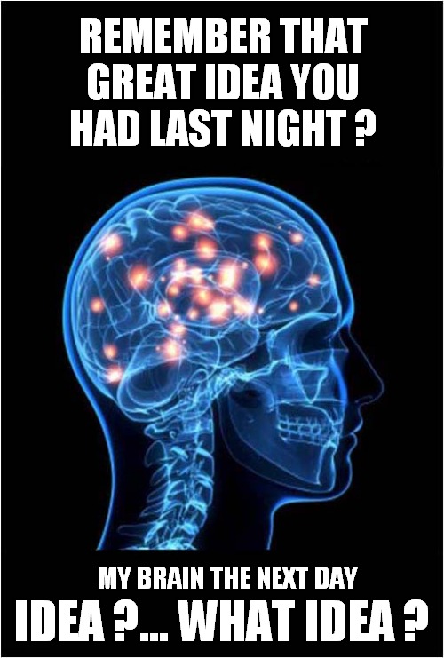 Memory Failure ! | REMEMBER THAT GREAT IDEA YOU HAD LAST NIGHT ? MY BRAIN THE NEXT DAY; IDEA ?... WHAT IDEA ? | image tagged in ideas,brain,memory | made w/ Imgflip meme maker