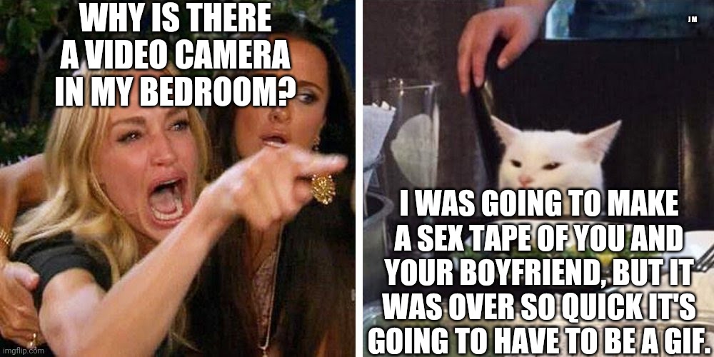 Smudge the cat | WHY IS THERE A VIDEO CAMERA IN MY BEDROOM? J M; I WAS GOING TO MAKE A SEX TAPE OF YOU AND YOUR BOYFRIEND, BUT IT WAS OVER SO QUICK IT'S GOING TO HAVE TO BE A GIF. | image tagged in smudge the cat | made w/ Imgflip meme maker