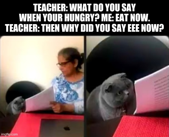 Why not? | TEACHER: WHAT DO YOU SAY WHEN YOUR HUNGRY? ME: EAT NOW. TEACHER: THEN WHY DID YOU SAY EEE NOW? | image tagged in cat looking at test,funny,wings of fire,wof | made w/ Imgflip meme maker