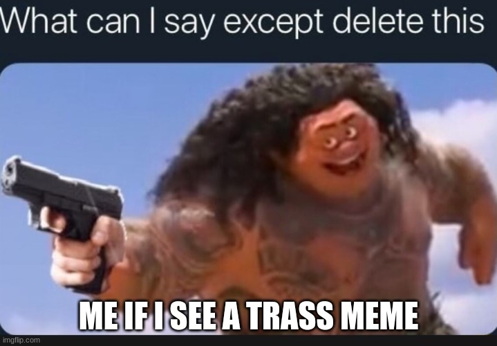 What can I say except delete this | ME IF I SEE A TRASS MEME | image tagged in what can i say except delete this | made w/ Imgflip meme maker