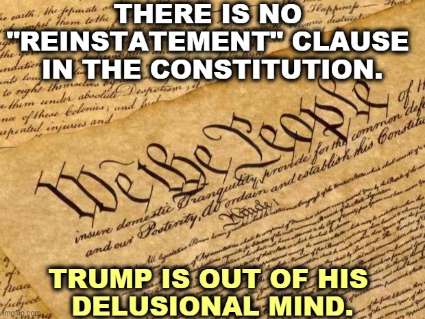 A quart short. | THERE IS NO 
"REINSTATEMENT" CLAUSE 
IN THE CONSTITUTION. TRUMP IS OUT OF HIS 
DELUSIONAL MIND. | image tagged in constitution,trump,delusional | made w/ Imgflip meme maker