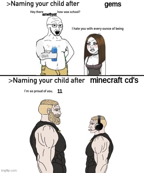 Naming your child after | gems amethyst minecraft cd's 11 | image tagged in naming your child after | made w/ Imgflip meme maker