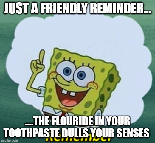 Remember | JUST A FRIENDLY REMINDER... ....THE FLOURIDE IN YOUR TOOTHPASTE DULLS YOUR SENSES | image tagged in remember | made w/ Imgflip meme maker