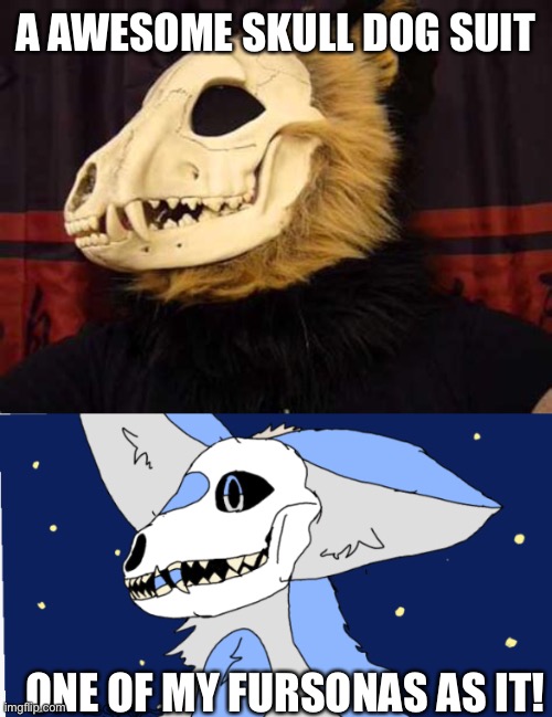 I’m not gonna risk getting in trouble | A AWESOME SKULL DOG SUIT; ONE OF MY FURSONAS AS IT! | image tagged in furry,skull dog | made w/ Imgflip meme maker