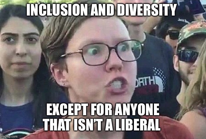 Triggered Liberal | INCLUSION AND DIVERSITY EXCEPT FOR ANYONE THAT ISN’T A LIBERAL | image tagged in triggered liberal | made w/ Imgflip meme maker