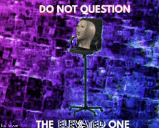 Do not question the elevated one | image tagged in do not question the elevated one | made w/ Imgflip meme maker