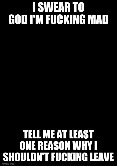 Danny is 18 and I'm 14 you sick fucks | I SWEAR TO GOD I'M FUCKING MAD; TELL ME AT LEAST ONE REASON WHY I SHOULDN'T FUCKING LEAVE | image tagged in a black blank | made w/ Imgflip meme maker