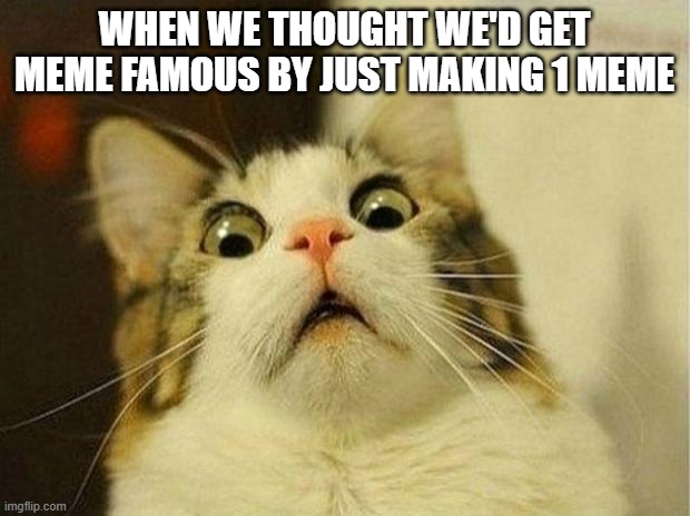 yesh, we all have related to this. I KNOW THIS SINCE THE DAY YOU STARTED. | WHEN WE THOUGHT WE'D GET MEME FAMOUS BY JUST MAKING 1 MEME | image tagged in memes,scared cat,instant regret,famous | made w/ Imgflip meme maker