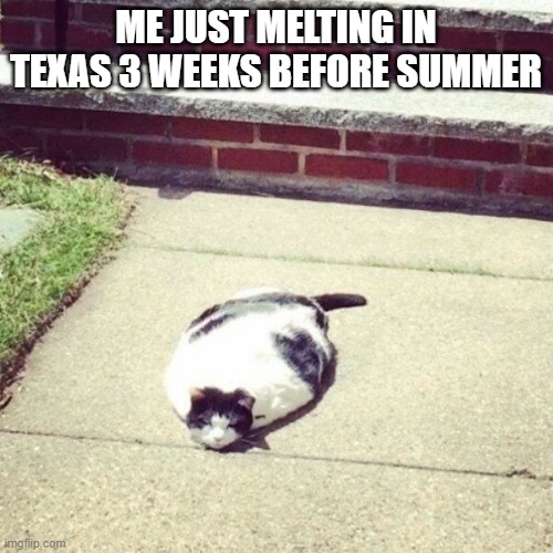 melting cat | ME JUST MELTING IN TEXAS 3 WEEKS BEFORE SUMMER | image tagged in melting cat,texas,melting,summer time,before and after | made w/ Imgflip meme maker