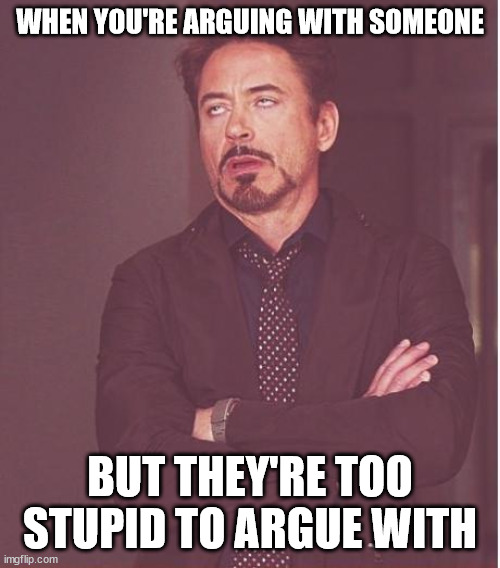 Face You Make Robert Downey Jr Meme | WHEN YOU'RE ARGUING WITH SOMEONE; BUT THEY'RE TOO STUPID TO ARGUE WITH | image tagged in memes,face you make robert downey jr | made w/ Imgflip meme maker