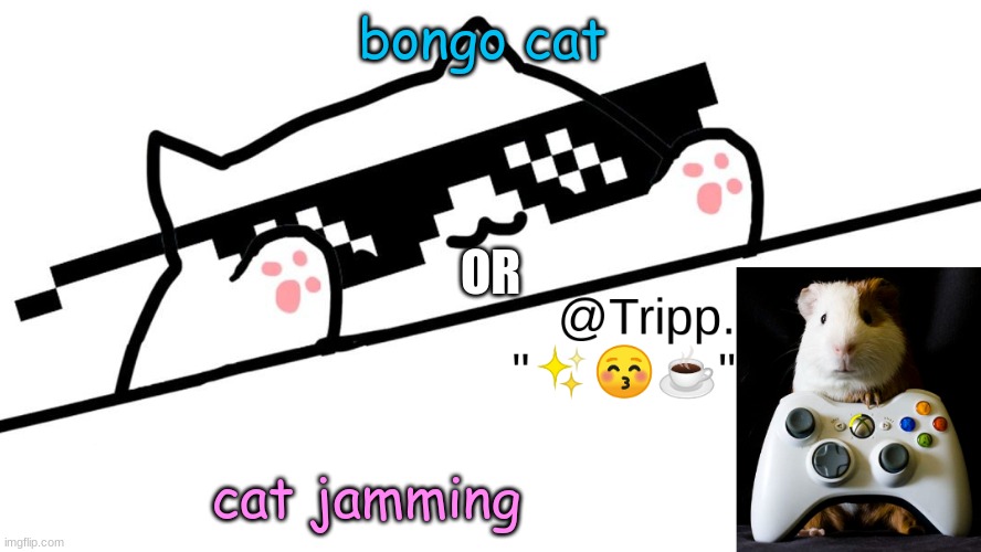 CHOOSE YOUR HERO | bongo cat; OR; cat jamming | image tagged in tripp 's very awesome temp d | made w/ Imgflip meme maker