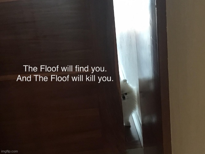 The floof will find you | image tagged in the floof will find you | made w/ Imgflip meme maker