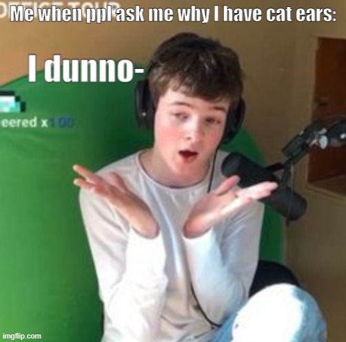 Tubbo dunno | Me when ppl ask me why I have cat ears: | image tagged in tubbo dunno | made w/ Imgflip meme maker