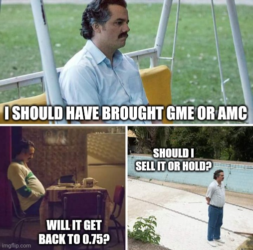 SAD DOGE BUY | I SHOULD HAVE BROUGHT GME OR AMC; SHOULD I SELL IT OR HOLD? WILL IT GET BACK TO 0.75? | image tagged in memes,sad pablo escobar | made w/ Imgflip meme maker