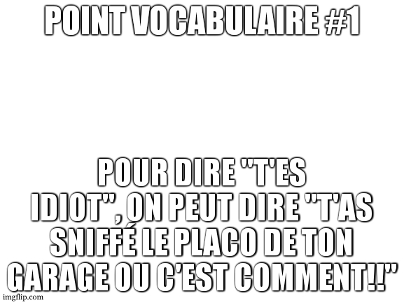 point vocabulaire 1 |  POINT VOCABULAIRE #1; POUR DIRE "T'ES IDIOT", ON PEUT DIRE "T'AS SNIFFÉ LE PLACO DE TON GARAGE OU C'EST COMMENT!!" | image tagged in blank white template,memes,french,funny | made w/ Imgflip meme maker