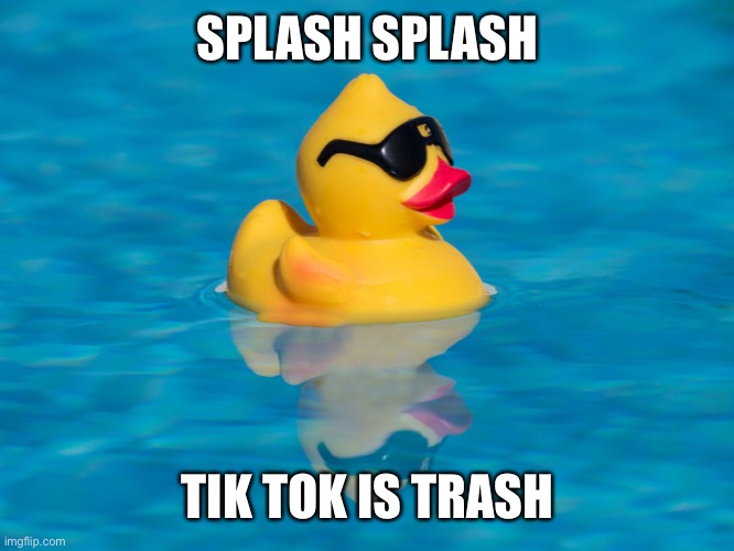 Splash splash | SPLASH SPLASH TIK TOK IS TRASH | image tagged in splash splash | made w/ Imgflip meme maker