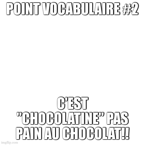 point vocabulaire 2 |  POINT VOCABULAIRE #2; C'EST "CHOCOLATINE" PAS PAIN AU CHOCOLAT!! | image tagged in memes,blank transparent square,chocolatine,french | made w/ Imgflip meme maker