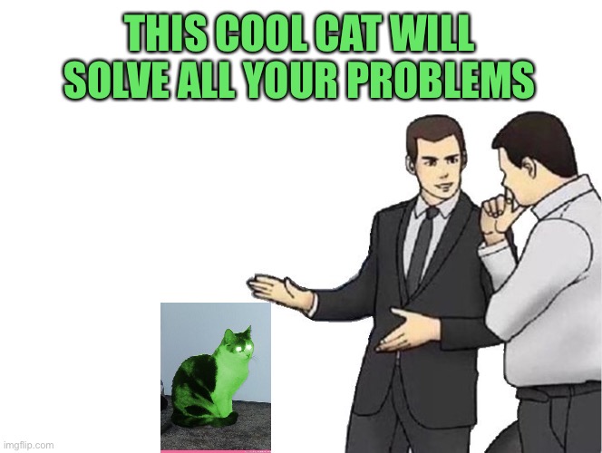 Car Salesman Slaps Hood Meme | THIS COOL CAT WILL SOLVE ALL YOUR PROBLEMS | image tagged in memes,car salesman slaps hood | made w/ Imgflip meme maker