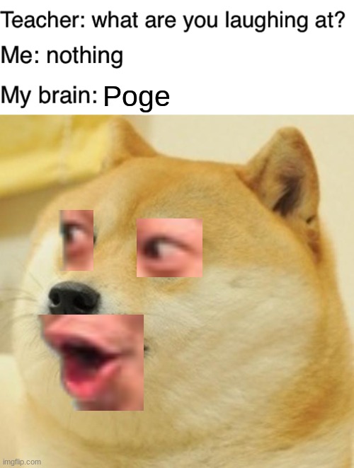poge | Poge | image tagged in teacher what are you laughing at,memes,doge,funny,pog,my brain | made w/ Imgflip meme maker