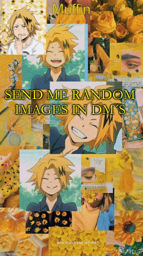 Denki | SEND ME RANDOM IMAGES IN DM´S | image tagged in denki | made w/ Imgflip meme maker