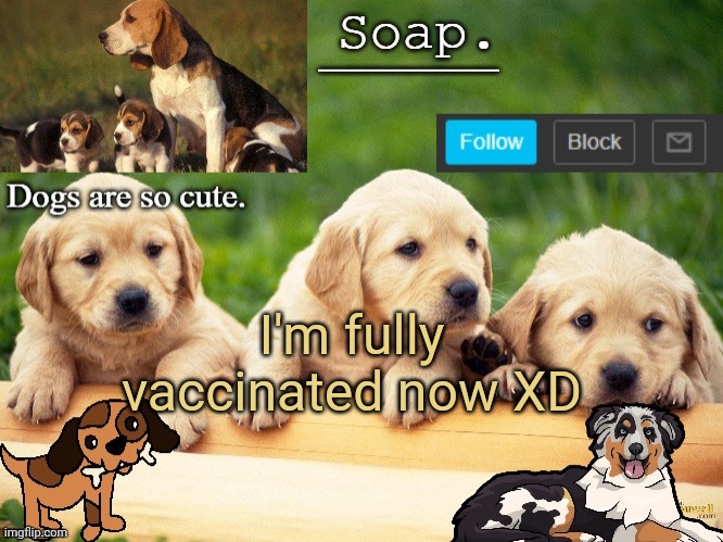 Soap doggo temp | I'm fully vaccinated now XD | image tagged in soap doggo temp ty yachi | made w/ Imgflip meme maker