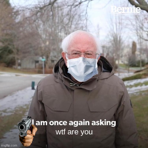 Bernie I Am Once Again Asking For Your Support | wtf are you | image tagged in memes,bernie i am once again asking for your support | made w/ Imgflip meme maker
