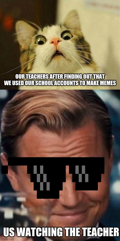 OUR TEACHERS AFTER FINDING OUT THAT WE USED OUR SCHOOL ACCOUNTS TO MAKE MEMES; US WATCHING THE TEACHER | image tagged in memes,scared cat,leonardo dicaprio cheers | made w/ Imgflip meme maker