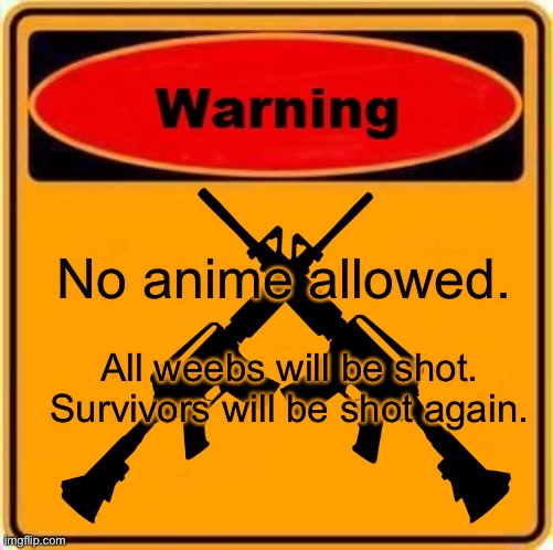NO ANIME | No anime allowed. All weebs will be shot.
Survivors will be shot again. | image tagged in warning | made w/ Imgflip meme maker