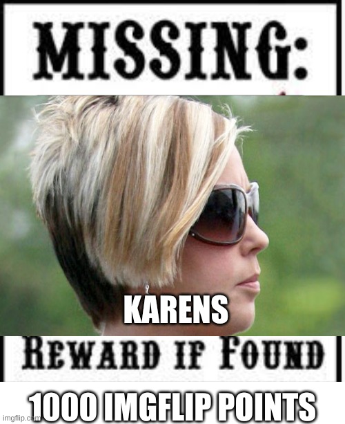 karens | KARENS; 1000 IMGFLIP POINTS | image tagged in karen,reward if found,funny,memes | made w/ Imgflip meme maker