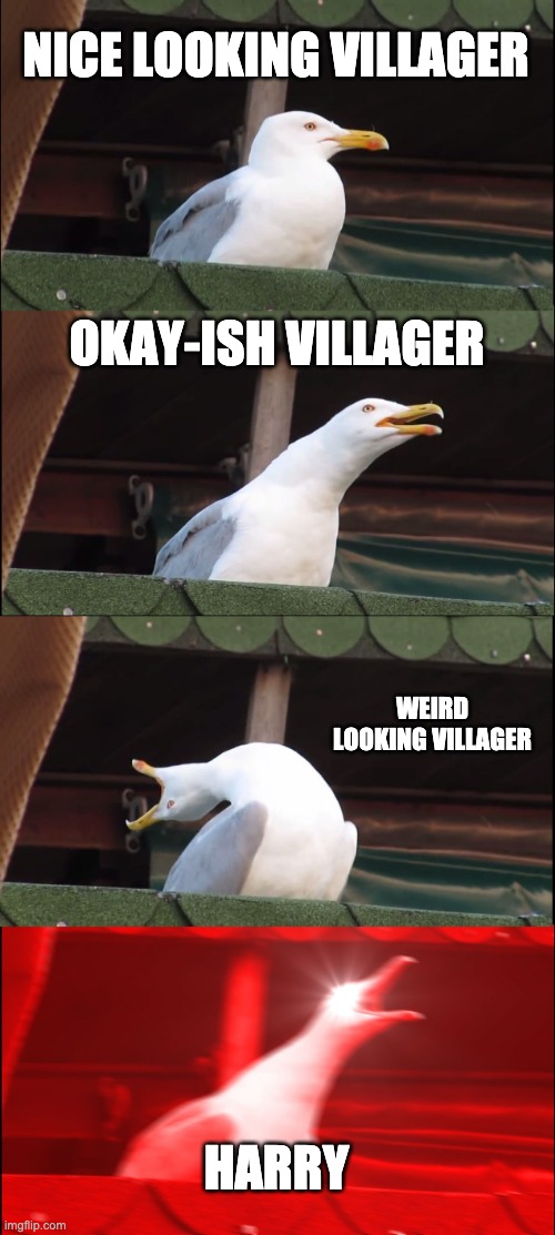animal crossing memes | NICE LOOKING VILLAGER; OKAY-ISH VILLAGER; WEIRD LOOKING VILLAGER; HARRY | image tagged in memes,inhaling seagull | made w/ Imgflip meme maker
