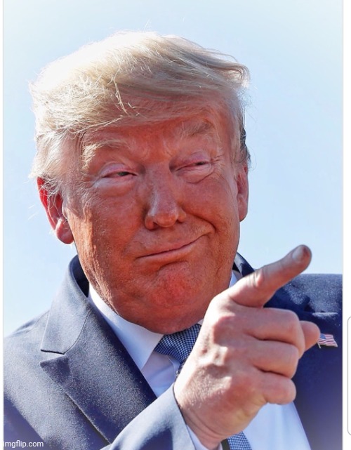 Trump pointing | image tagged in trump pointing | made w/ Imgflip meme maker