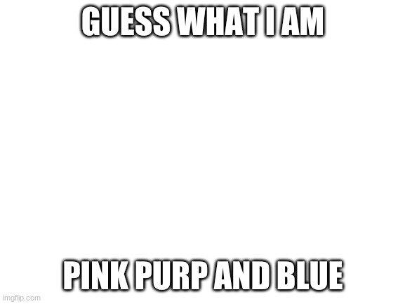 Blank White Template | GUESS WHAT I AM; PINK PURP AND BLUE | image tagged in blank white template | made w/ Imgflip meme maker