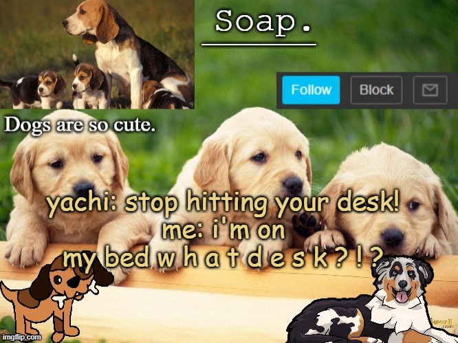 Soap doggo temp | yachi: stop hitting your desk!
me: i'm on my bed w h a t d e s k ? ! ? | image tagged in soap doggo temp ty yachi | made w/ Imgflip meme maker