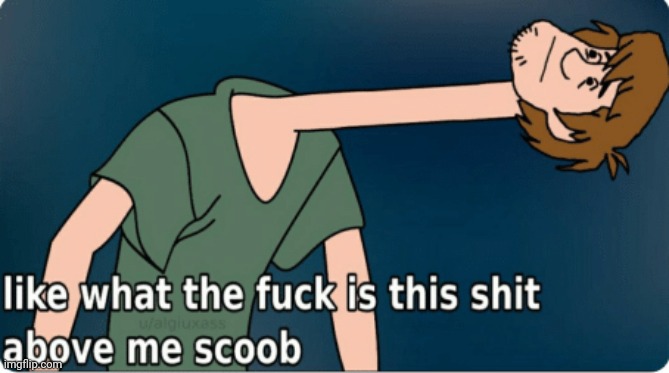 like what the fuck is this shit above me scoob | image tagged in like what the fuck is this shit above me scoob | made w/ Imgflip meme maker