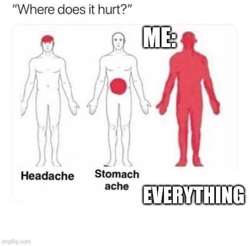 my gf left | ME:; EVERYTHING | image tagged in where does it hurt | made w/ Imgflip meme maker