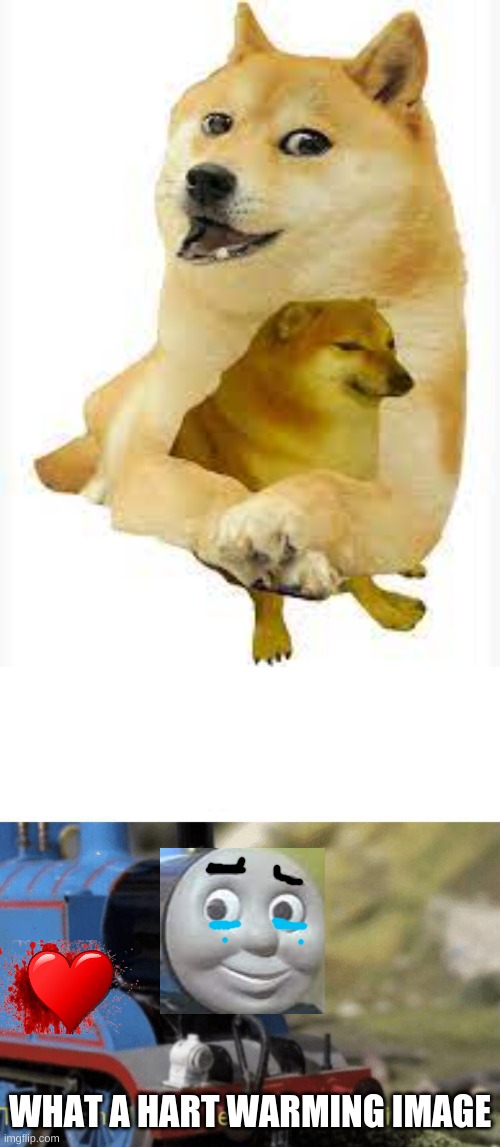 kute | WHAT A HART WARMING IMAGE | image tagged in what a heart warming image,doge hugging cheems | made w/ Imgflip meme maker