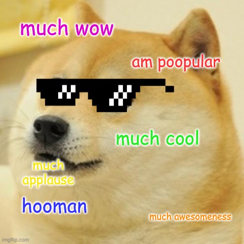 Doge | much wow; am poopular; much cool; much applause; hooman; much awesomeness | image tagged in memes,doge | made w/ Imgflip meme maker