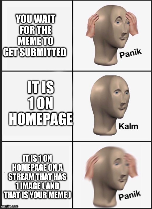 YOU WAIT FOR THE MEME TO GET SUBMITTED; IT IS 1 ON HOMEPAGE; IT IS 1 ON HOMEPAGE ON A STREAM THAT HAS 1 IMAGE ( AND THAT IS YOUR MEME ) | image tagged in homepage,panik | made w/ Imgflip meme maker